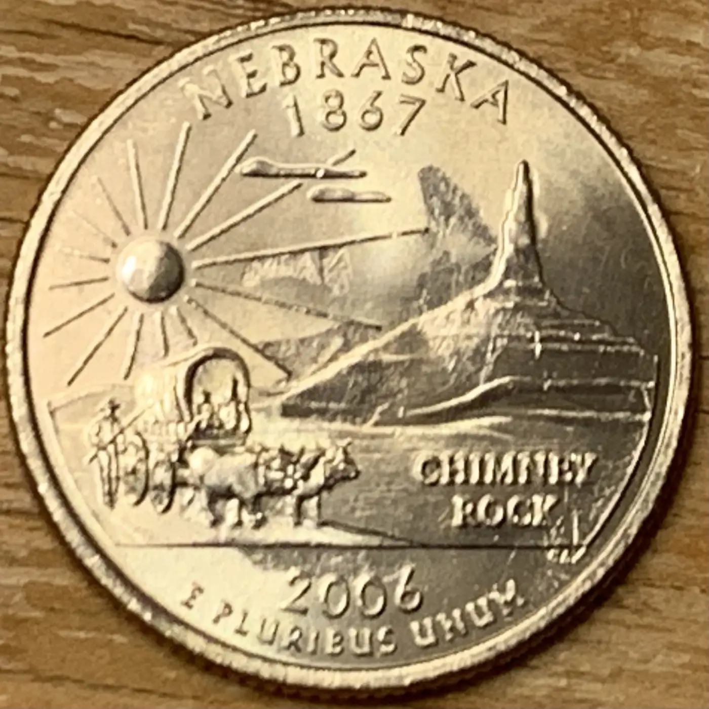 Bovine-Coins---Post-Yours